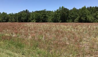 5700 Little Prong Rd NW Lot 2, Ash, NC 28420