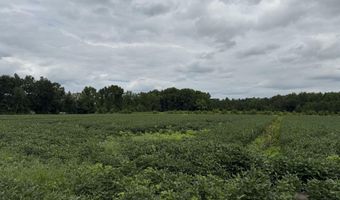 Sr 1932 Off, Aurora, NC 27806