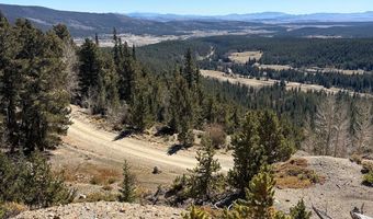 0 County Road 787, Alma, CO 80420