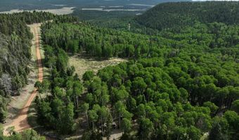 168 Mertz Pl Lot 65, Angel Fire, NM 87710
