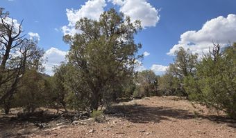 215 Cathedral Vly, Ash Fork, AZ 86320