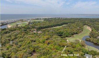 9 Bay Tree Trl, Bald Head Island, NC 28461