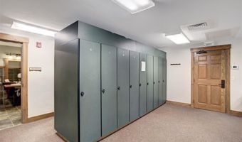 35 MOUNTAIN THUNDER Dr 5208, Breckenridge, CO 80424