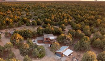 438 Carson Rd S, Carson, NM 87515