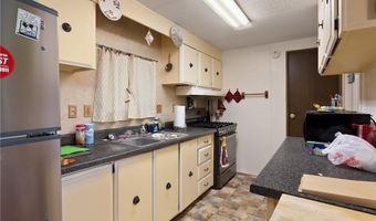 411 Palmetto Palm St, Alamo, TX 78516