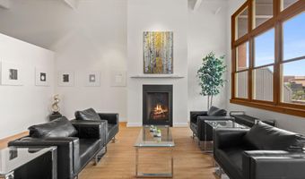231 Robinson St 218, Basalt, CO 81621