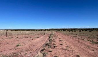 005 N9119, Concho, AZ 85924