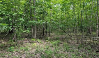 W Long Lake Road, Alpena, MI 49707