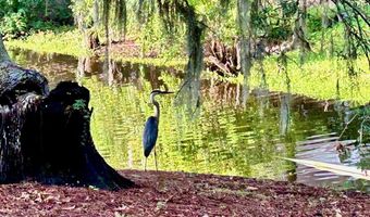 12 Fraser St, Beaufort, SC 29907