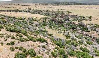 5843 Hart Ranch Dr, Beulah, CO 81023