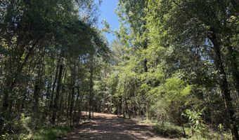 006 H Wallace Buie Rd, Ashford, AL 36376