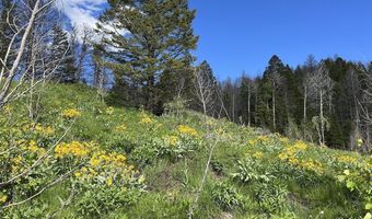 DEER HAVEN 40 AC Road, Bondurant, WY 82922