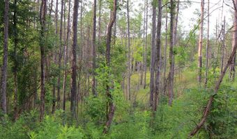 Hwy 9, Bruce, MS 38915