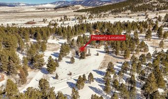 71 Halo Pines Ter, Angel Fire, NM 87710