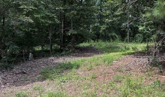 North Palestine Road, Baldwyn, MS 38824