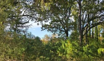 Parcel B Patrick Henry Highway, Amelia, VA 23002