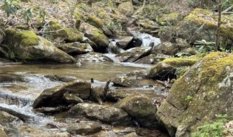 62 Acres Buckeye Ridge Rd, Beech Mountain, NC 28604