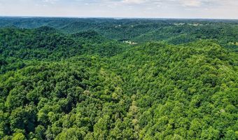 2926 Bryant Ridge Rd, Baxter, TN 38544