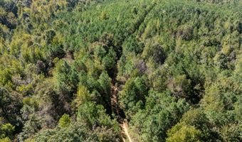 Holmes Road, Batesville, MS 38606