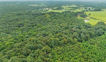 684 Mardis Point Rd, Baileyton, AL 35019