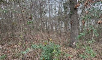 Cove Road, Abbeville, AL 36310