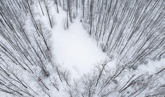 7438 AFTON Rd, Afton, MI 49705