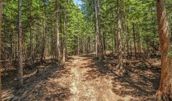 NKA Wandering Wolf Ridge Lot 3, Clark Fork, ID 83811
