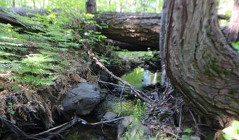 2159 Sierra Pkwy, Arnold, CA 95223