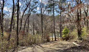 406 Chimney Rock Rd, Alberta, AL 36720