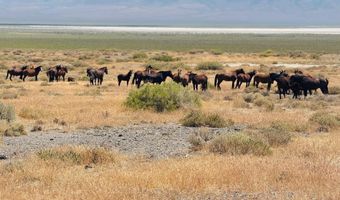 T32 Sec 25, Imlay, NV 89418