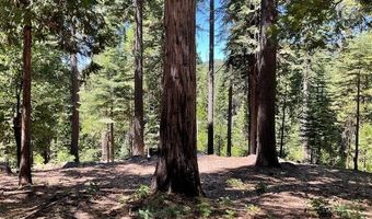 1619 Shoshone Dr, Arnold, CA 95223