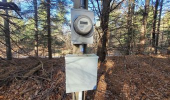 1091 Plum Valley Rd NW, Alden, MI 49612