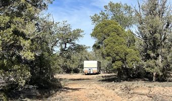 5 Deer Droppings, Ash Fork, AZ 86320