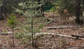 6002 Wildwood, Alger, MI 48610