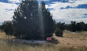4476 Northview Blvd, Ash Fork, AZ 86320