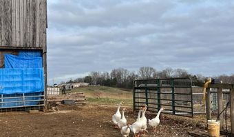 1383 HogBack Rd, Albany, KY 42602