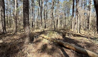 0 Lot 1 Creek Place Rd, Arapahoe, NC 28510