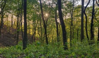 355 Lone Mountain Rd, Andersonville, TN 37705