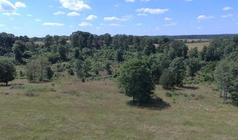 22017 E State Hwy 76, Ava, MO 65608