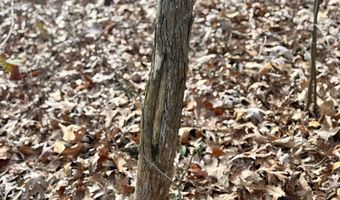 Farm Rd 1187 Lc, Ash Grove, MO 65604