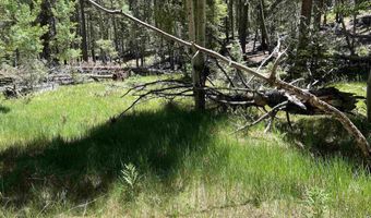 Alpine Lake Way Lot 3 Blk E, Angel Fire, NM 87710