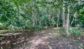ATLANTIC RD lot 58B, Assawoman, VA 23302