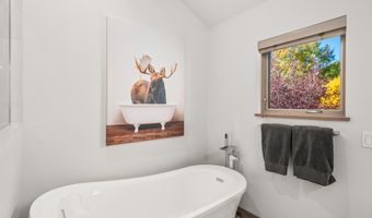 331 Branding Way, Basalt, CO 81621