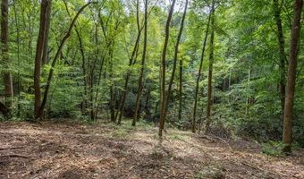 1034 Chestnut Flats Rd, Andrews, NC 28901