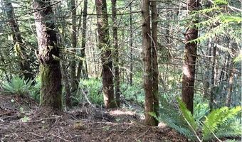 West Tunnel, Banks, OR 97106