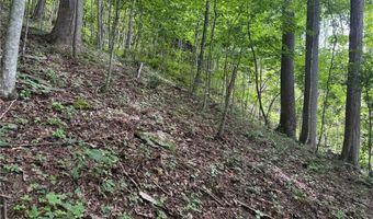 Tbd Boulder Gardens Road, Banner Elk, NC 28604