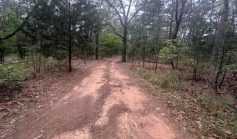 UNIT # 263B KIAMICHI WILDERNESS RD Unit # 63 63, Antlers, OK 74523