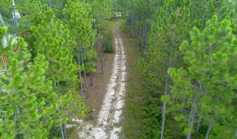 0 Piney Blf, Baxley, GA 31513
