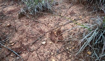 Tract 2 Acme Rd, Asher, OK 74826