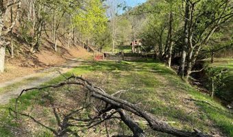 1170 Straight Run Rd, Alum Bridge, WV 26321